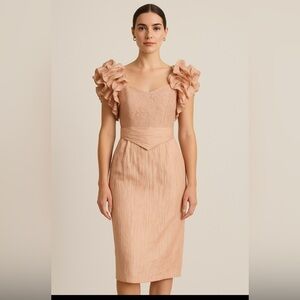 Vintage BB Collections by Barbara Pink Lace Ruffle Sleeve Midi Dress Size 6